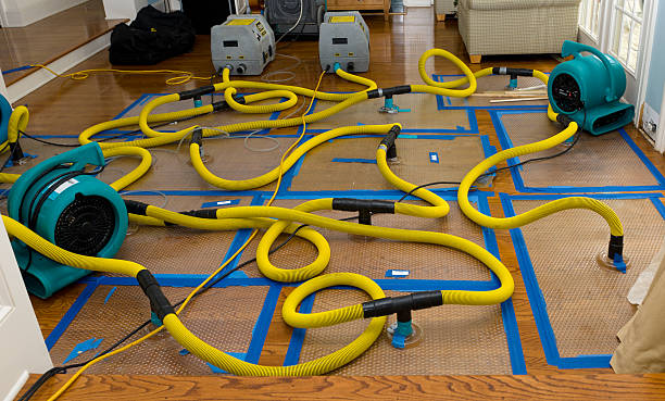 Professional Basement Flood Cleanup technician working in Wayne, OH